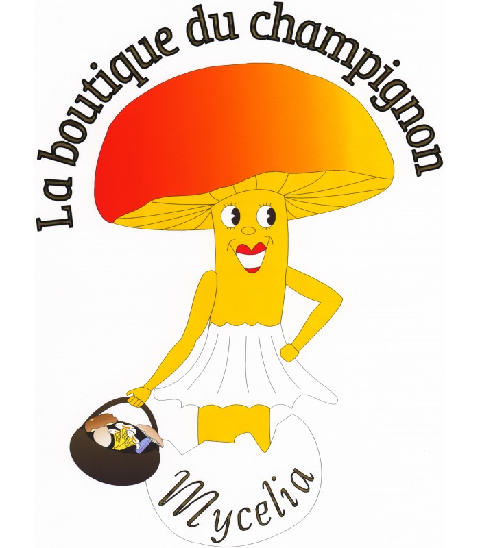 Frais d’affranchissement (Mondial Relay) – Image 2